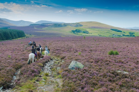 Ride in Snowdonia National Park